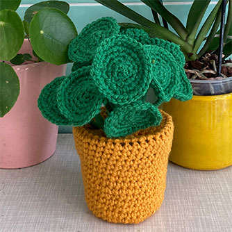 Crochet plant